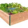 grossiste en ligne Castorama Carré Potager Mon Petit Potager PM 120 X 115 X H.48 Cm 5