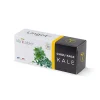 en ligne Castorama Lingot® Chou Kale Bio Pour Potager Véritable® 7