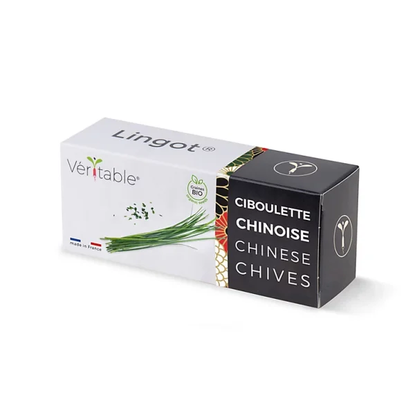 marque pas cher en ligne Castorama Lingot® Ciboulette Chinoise Bio Pour Potager Véritable® 1