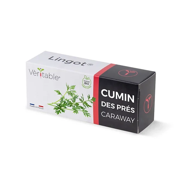 achetez pas cher Castorama Lingot® Cumin Des Prés Pour Potager Véritable® 1