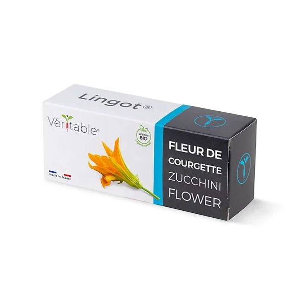 de garantie authentique Castorama Lingot® Fleur De Courgette Comestible Pour Potager Véritable® 1