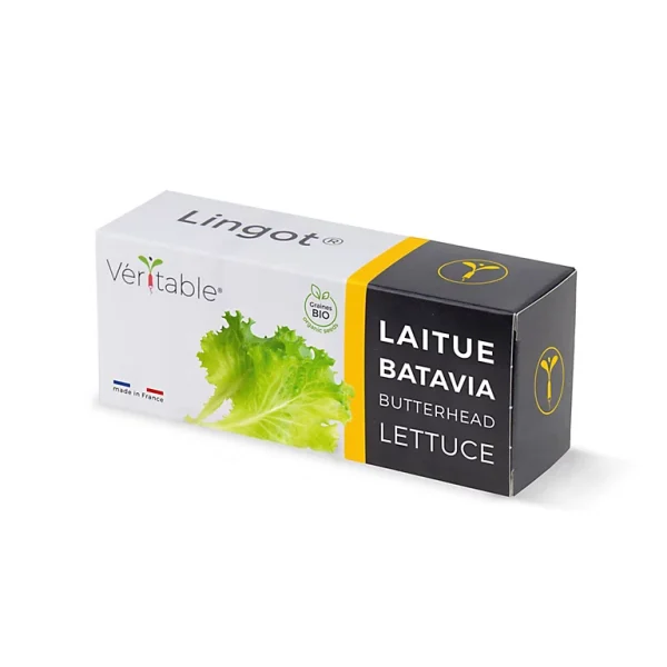 vente en ligne Castorama Lingot® Laitue Batavia Bio Pour Potager Véritable® 1