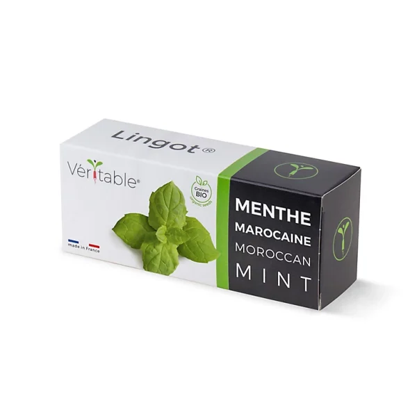 Castorama Lingot® Menthe Marocaine Bio Pour Potager Véritable® authentiques 1