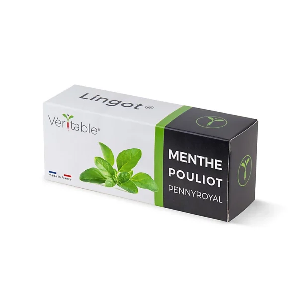 Castorama Lingot® Menthe Poulliot Pour Potager Véritable® pas cher 1