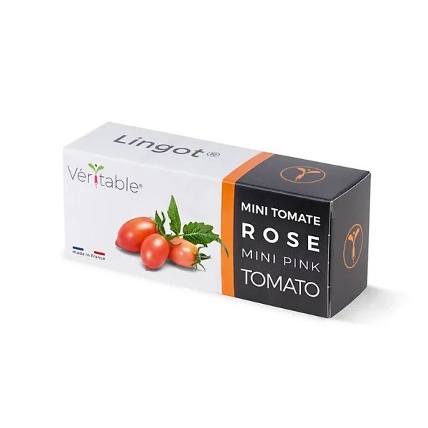 Castorama Lingot® Mini Tomate Rose Pour Potager Véritable® garantis authentique 1