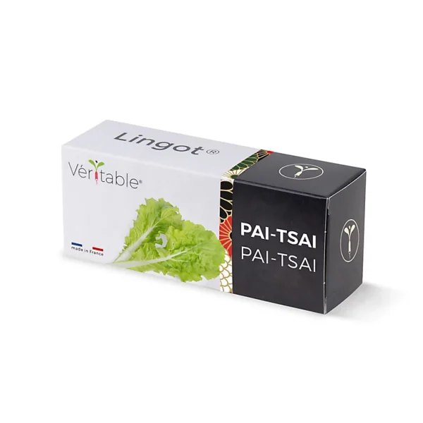 Acheter Castorama Lingot® Pai Tsai Pour Potager Véritable® 1