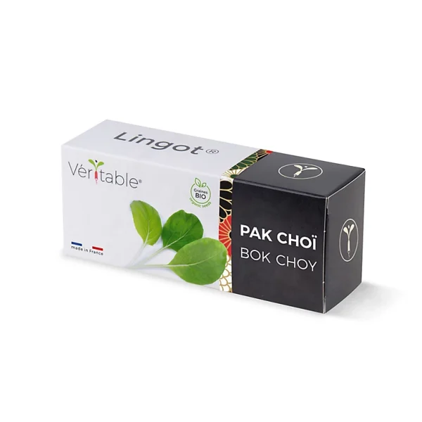 Castorama Lingot® Pak Choï Bio Pour Potager Véritable® prix pas cher 1