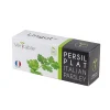 Castorama Lingot® Persil Plat Bio Pour Potager Véritable® De super promotions disponibles 7