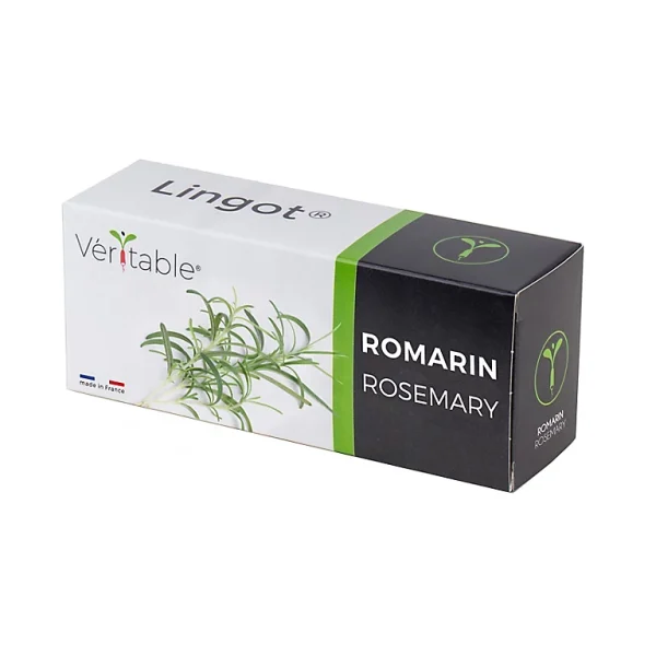 Castorama Lingot® Romarin Pour Potager Véritable® meilleure qualité 1