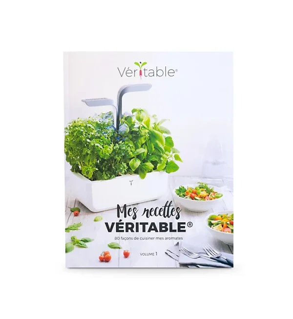 prix abordable Castorama Livre De Recettes Mes Recettes Veritable® Volume 1 1