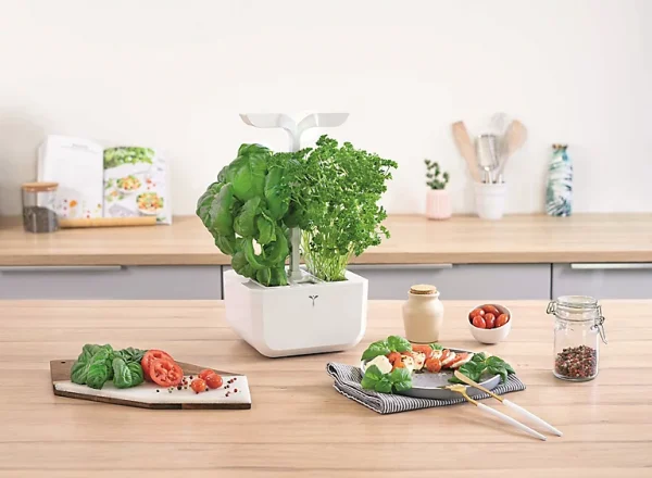 soldes en ligne Castorama Potager D’intérieur Exky® Classic Arctic White 1