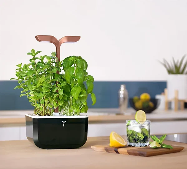 livraison la plus rapide Castorama Potager D’intérieur Exky® Smart Copper 1