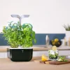 nouveau produit Castorama Potager D’intérieur Exky® Smart Soft Black 5